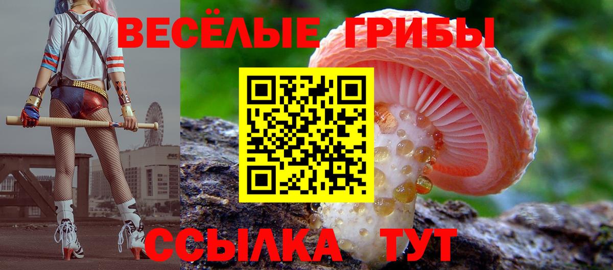 Псилоцибиновые грибы MAGIC MUSHROOMS Чапаевск