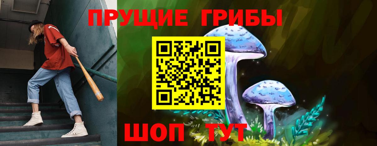 Псилоцибиновые грибы Psilocybine cubensis  Вход с VPN  Чапаевск 